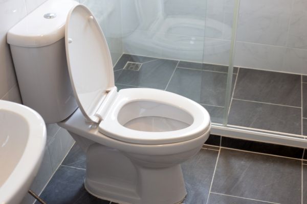 Cost of Toilet Replacement in Brandon