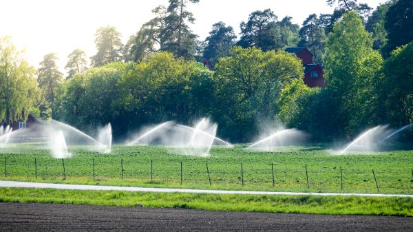 Outdoor Irrigation Service
